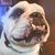 Steven Caruso's profile image