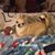 Phyllis Ann's profile image