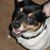 Kathy Cleveland-Travis's profile image