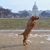 Susan Anne's profile image