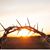 Tara Scally Prosser's profile image