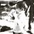 Allan Hough's profile image
