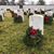 Marjorie Hoover's profile image