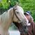 Kathleen Hugh-Tuza's profile image