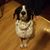 LaDebra Iverson's profile image