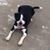 Karen Wyatt's profile image