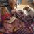 Hannah 'Childs' Reilly's profile image