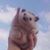 Joshua Roberts's profile image