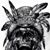 Jim Martin's profile image