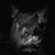 Cathy Detor's profile image