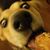 Kim Ulrich's profile image