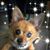 Dawn Bolen's profile image