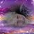 Sandi DeRosso's profile image