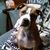Tammy Barnhart's profile image