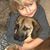 Matthew C Collins's profile image