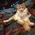 Katya Stadives's profile image