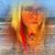 Patty Jane Forsythe Webster's profile image