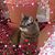 Kate Taylor's profile image
