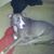 Bonnie Flohr McCarty's profile image