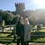 Ali Cooper's profile image