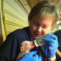 Martha Brinker Smith's profile image