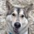 Gina Day-Price's profile image
