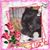 Heather Fiore's profile image