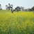 Ajay Agrawal's profile image