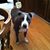 Sabrina Maio's profile image