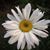 Liz Felgate's profile image