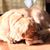 Sinha Jaideep's profile image
