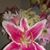 Kathy Nimark's profile image