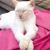 Donna M. Ubeda's profile image