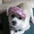 Renee Zito's profile image