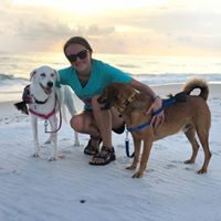 Sarah Chapman Davis's profile image