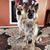 Lori Vaubel Moss's profile image