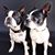 LucyandLily Gustetich's profile image