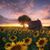 Danyeil Church Pennell's profile image