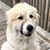 Kari DesRosiers's profile image