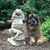 Diana Rochford's profile image