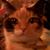 Tracey von Czoernig's profile image