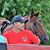 Lorri Paul Knorr's profile image