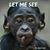 Rick Schies's profile image