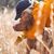 Kim Grant's profile image