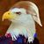 Jeffrey Houston's profile image