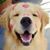 Tina Rodriguez Medland's profile image