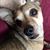 Karen DeLong Ulrich's profile image