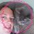 Lindsay DeDeyne Raschke's profile image