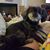 Tammy Corley Hutchison's profile image