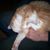 Linda Strieter Ludwig's profile image